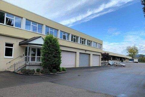 Edenkoben Halle, Edenkoben Hallenfläche