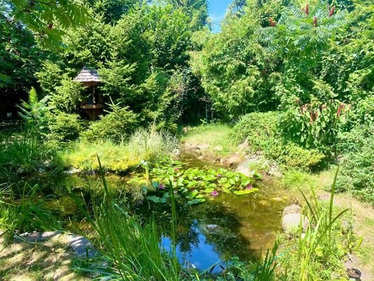 Teich im Garten