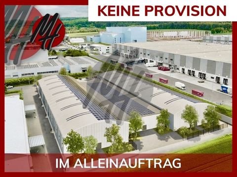 Langenselbold Halle, Langenselbold Hallenfläche