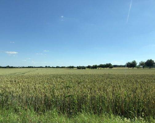 Landschaftsimpression