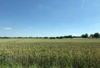 Landschaftsimpression