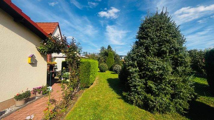 PHOTO-2025-08-10-18-00-14 (1).jpg