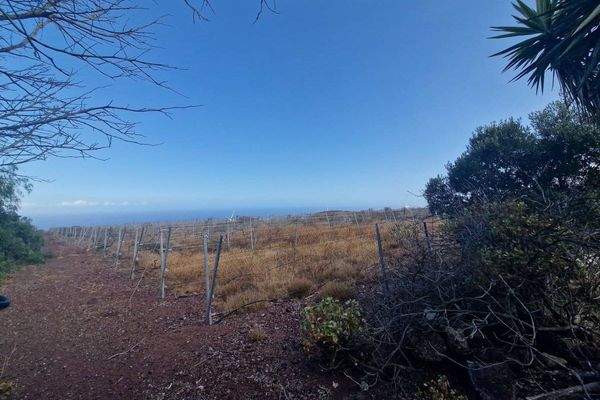 Grundstück mit viel Potential