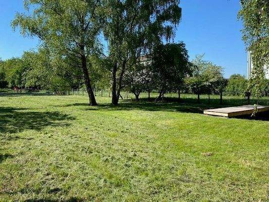 Wiese mit Teich und Sonnensteg