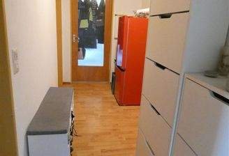 Eingangsbereich/ Flur