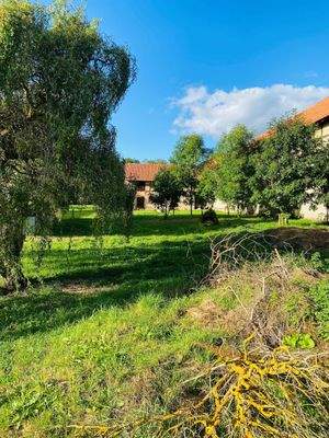 Garten/Baugrundstück