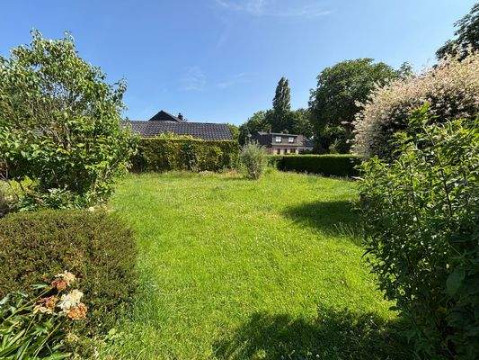 Gemeinschaftsgarten 2