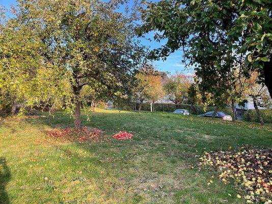 nach der Apfelernte!