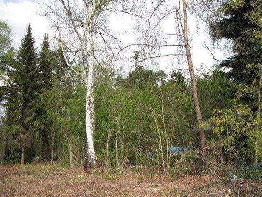 Blick auf das Grundstück 