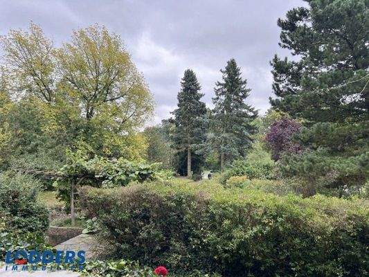 Blick-von-der-Terrasse-4