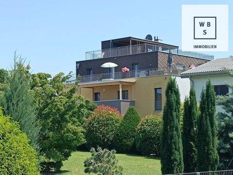 Höchst Wohnungen, Höchst Wohnung kaufen