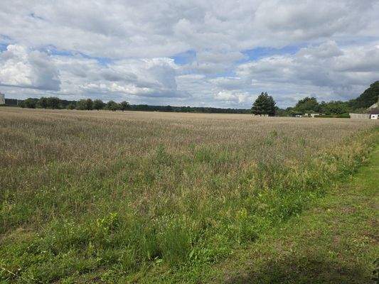 Feld hinter Grundstück