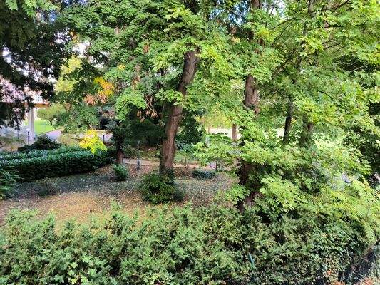 21. Blick aus dem Küchenfenster.jpg