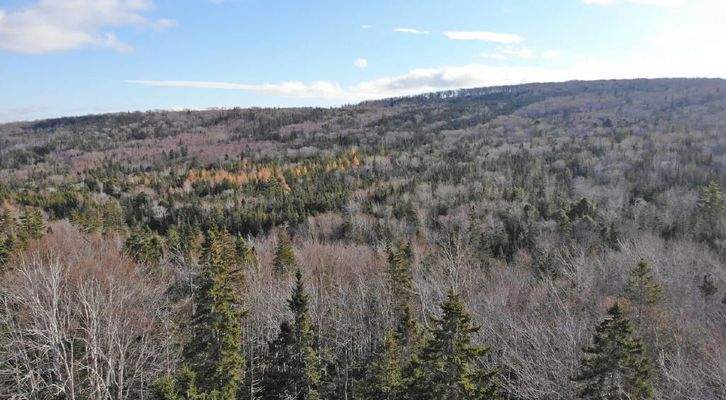 Cape Breton - Bras d`Or Lake - 18-Hektar-Areal in 