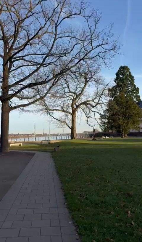 Wesseling Renditeobjekte, Mehrfamilienhäuser, Geschäftshäuser, Kapitalanlage