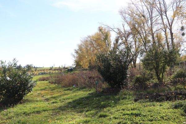Umgebung Burtschützer Hof