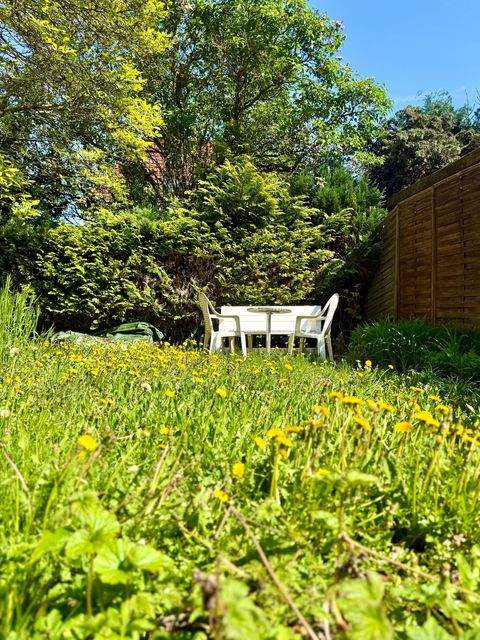 Weimar Häuser, Weimar Haus kaufen