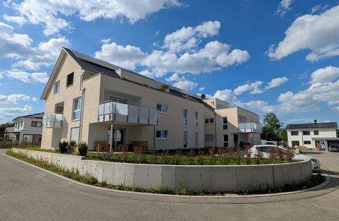 Schemmerhofen Wohnungen, Schemmerhofen Wohnung mieten