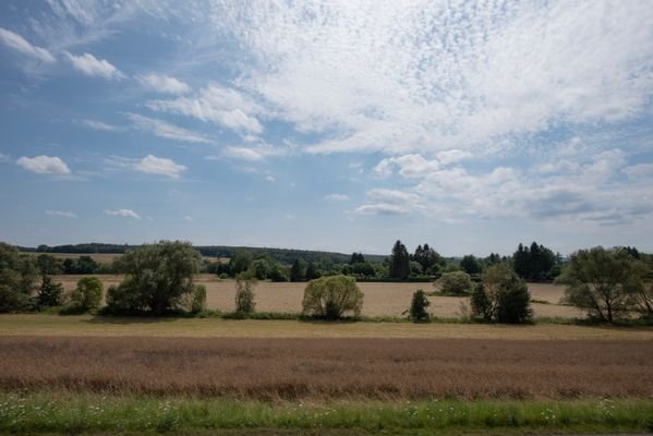 Blick vom Garten