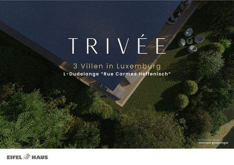 Dudelange Häuser, Dudelange Haus kaufen