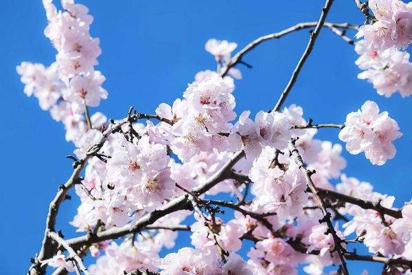 Keine Geruchsbelästigung!