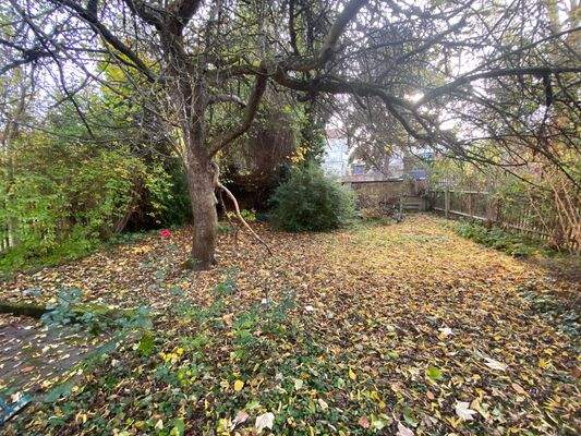 Garten hinter dem Haus (1).jpg