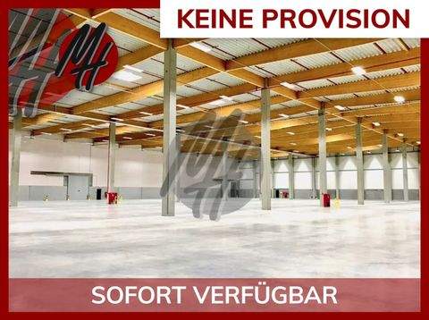 Ransbach-Baumbach Halle, Ransbach-Baumbach Hallenfläche