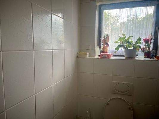 Teilansicht Gäste-WC