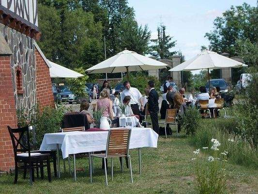 Sommergäste am Teich