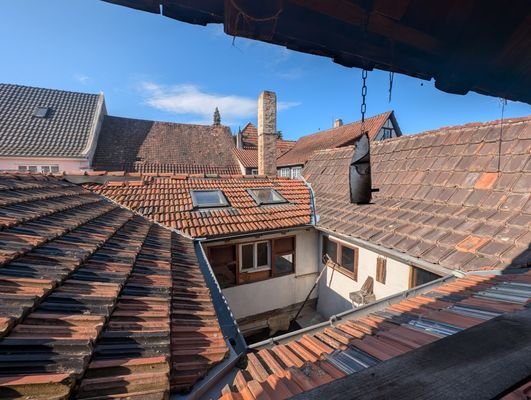 Über den Dächern von Ilbesheim