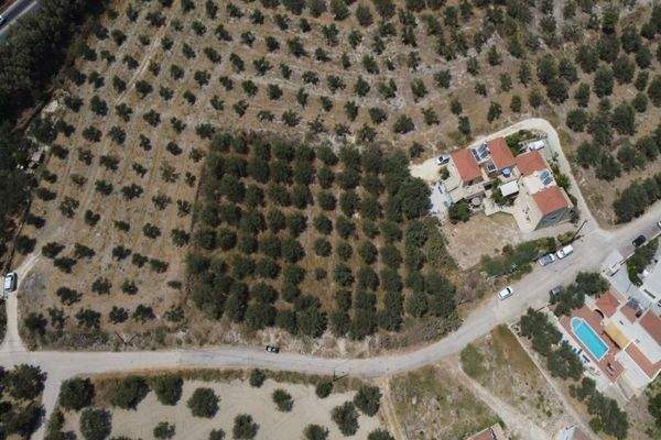 Kreta, Kalyves: Weitläufiges Grundstück mit Meerblick zu verkaufen