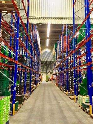 INFOS UNTER: 06171-586000