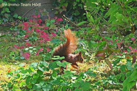 Stuttgart Wohnungen, Stuttgart Wohnung mieten