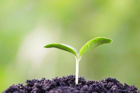 Tübingen Grundstücke, Tübingen Grundstück kaufen