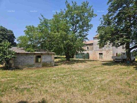 Visnjan Häuser, Visnjan Haus kaufen