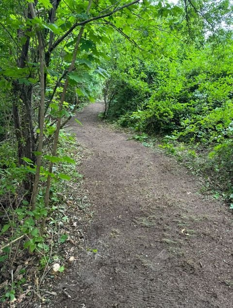 Brieselang Grundstücke, Brieselang Grundstück kaufen