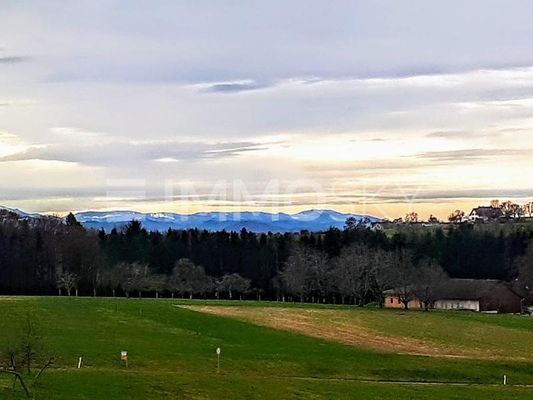 Berg- und Waldblick