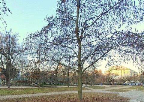 Berlin Renditeobjekte, Mehrfamilienhäuser, Geschäftshäuser, Kapitalanlage