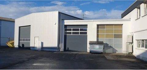 Arnsberg Halle, Arnsberg Hallenfläche