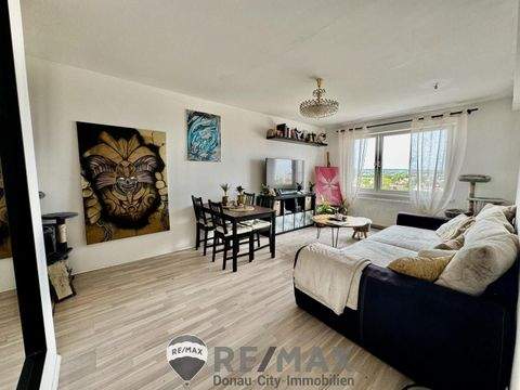 Wien Wohnungen, Wien Wohnung mieten