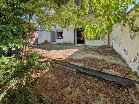 Haßloch Häuser, Haßloch Haus kaufen