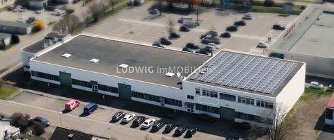 Leipheim Halle, Leipheim Hallenfläche