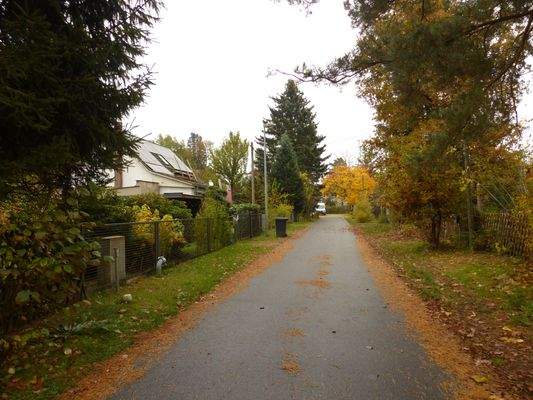 Blick in die Kleine Waldstraße