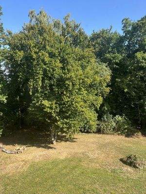 Nordseite/Blick Kinderzimmer