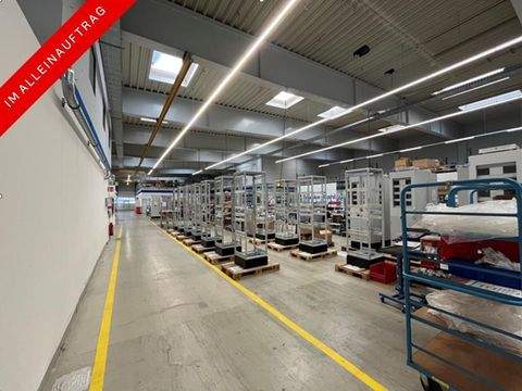 Hamburg Halle, Hamburg Hallenfläche