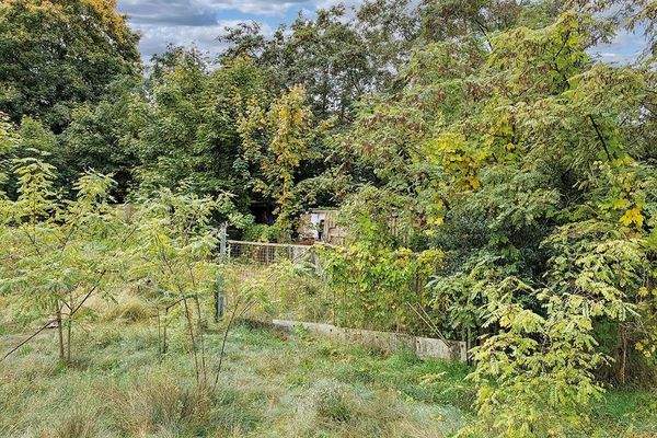 Blick auf das Grundstück