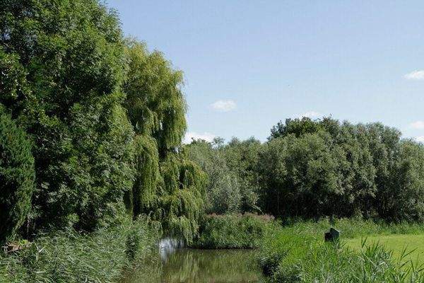 Ferienhaus Andijk kaufen004