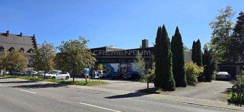 Immendingen Ladenlokale, Ladenflächen 