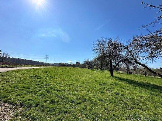 Feldrand Wohngebiet Südsicht
