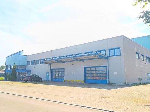 Heitersheim Halle, Heitersheim Hallenfläche